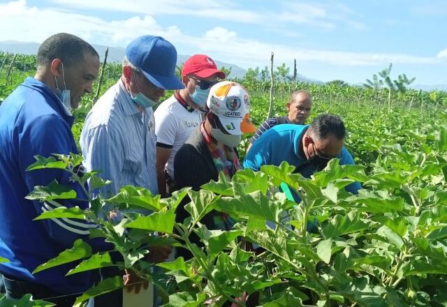 Agricultura destaca labor del CEDAF en la capacitación de su personal técnico en el 2021