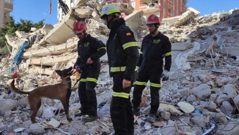 El olfato de un perro, la última esperanza de las víctimas del sismo