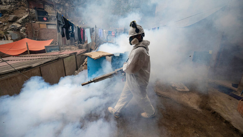 Dengue provoca emergencia sanitaria sin precedentes en Perú