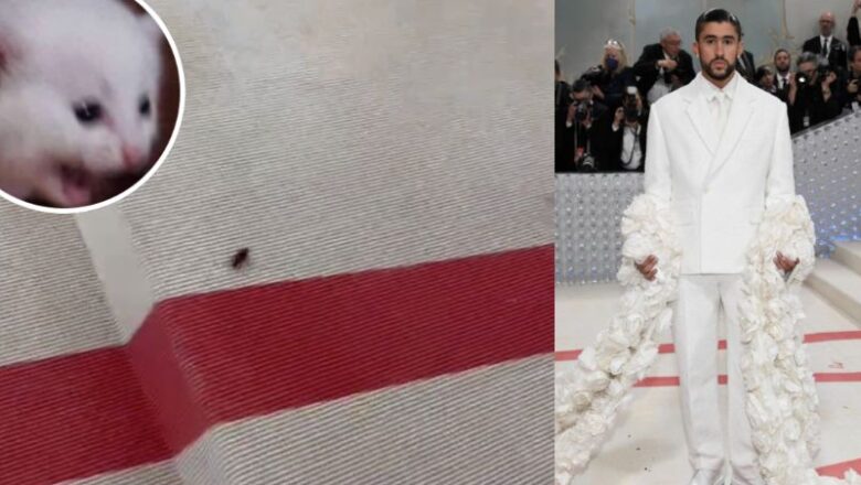 Una barata desfila por la alfombrilla roja de la Met Gala