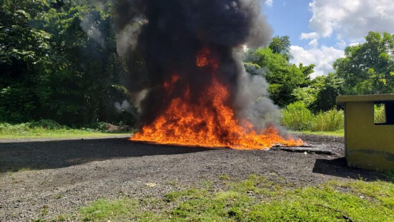 Defensor incineró más de 13 toneladas de droga en el primer semestre del año