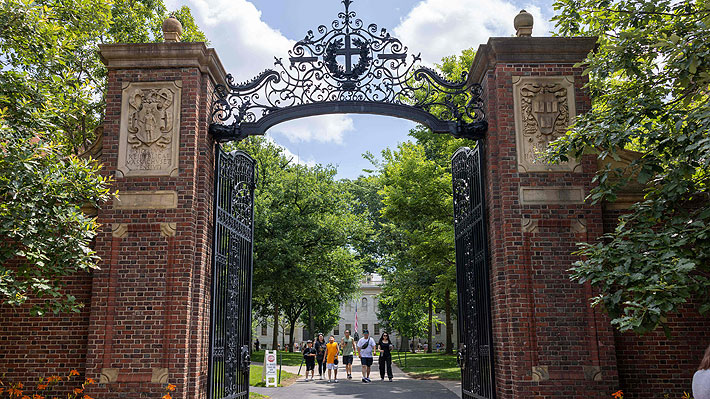 Harvard dice que respetará el decreto contra la ‘discriminación positiva’