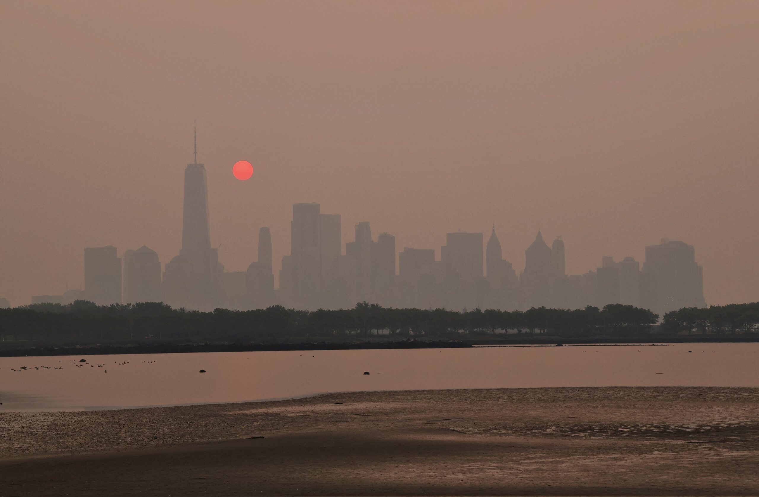 Dramáticas imágenes de Nueva York cubiertas de humo y cenizas