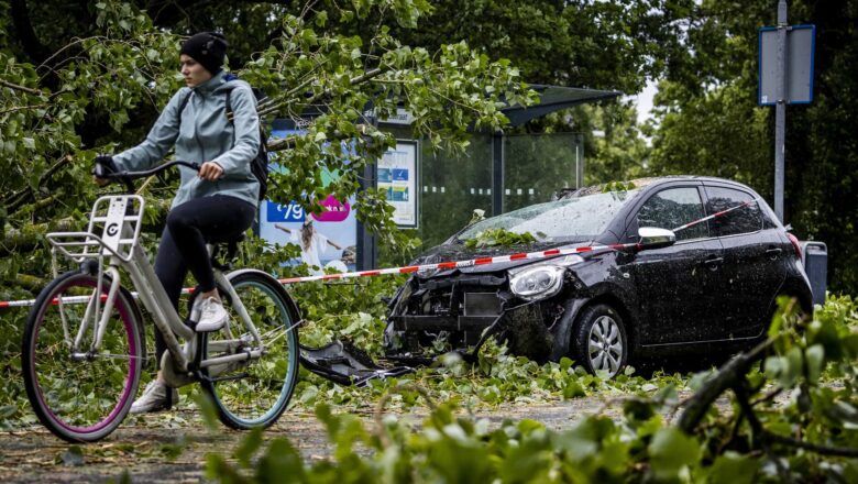 Muere una mujer al caer un árbol sobre su coche por tormenta en Holanda