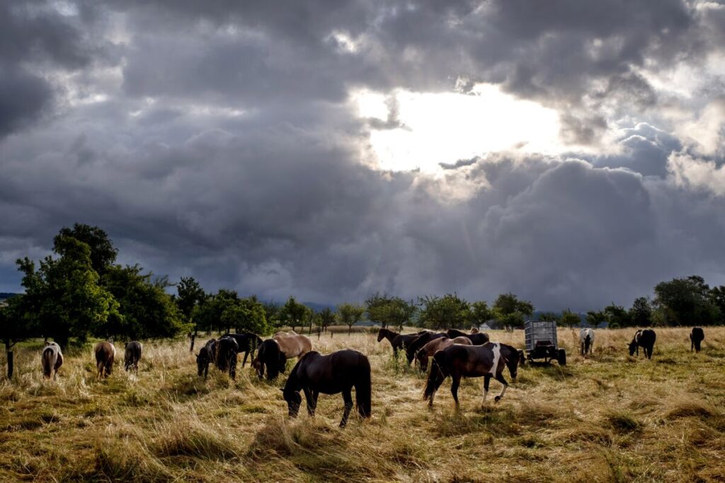 Tormenta en Holanda y Alemania causa dos muertes