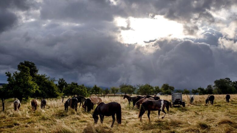 Tormenta en Holanda y Alemania provoca dos muertos