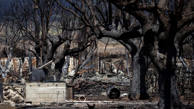 Autoridades elevan a 106 el número de fallecidos en los incendios en Maui