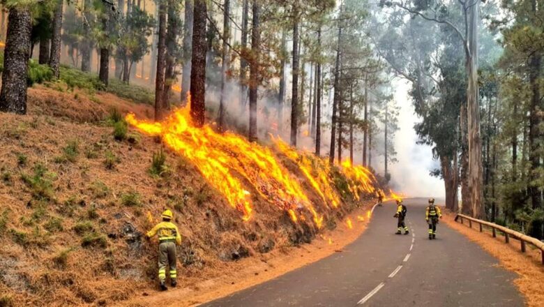 El fuego en la isla de Tenerife, el veterano del año en España, afecta ya a 13,383 hectáreas