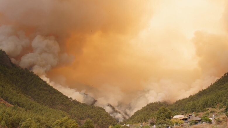 Un virulento incendio en la isla canaria de Tenerife consume ya 2,600 hectáreas