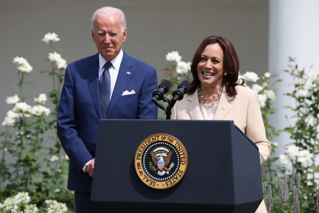 Kamala Harris: "tal vez tenga que asumir" la presidencia en EEUU